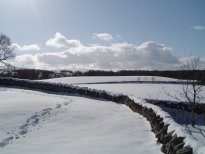 Snowy field