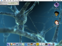 Neuron